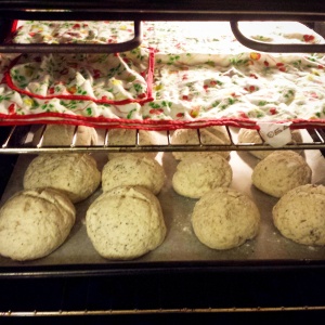 panini senza glutine con semi ed erbe aromatiche dettaglio del forno con panno umido per seconda lievitazione